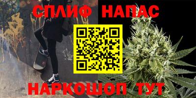 гашик Аргун