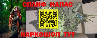 гашик Аргун
