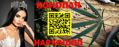 гашик Аргун