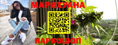 гашик Аргун
